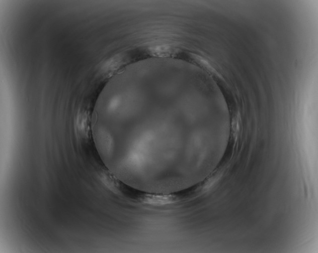 X0000085300671200703091433