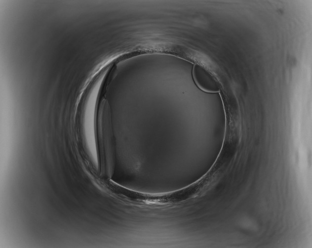 X0000085300674200703091432