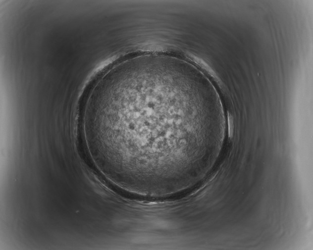 X0000085300675200703091432