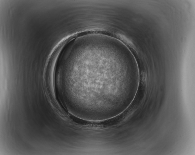 X0000085300676200703091432