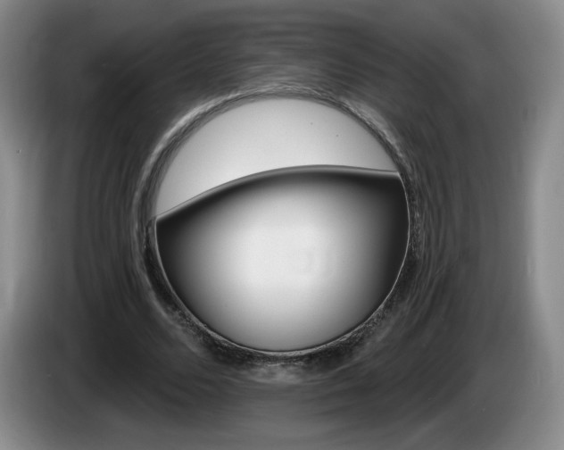 X0000085300680200703091432