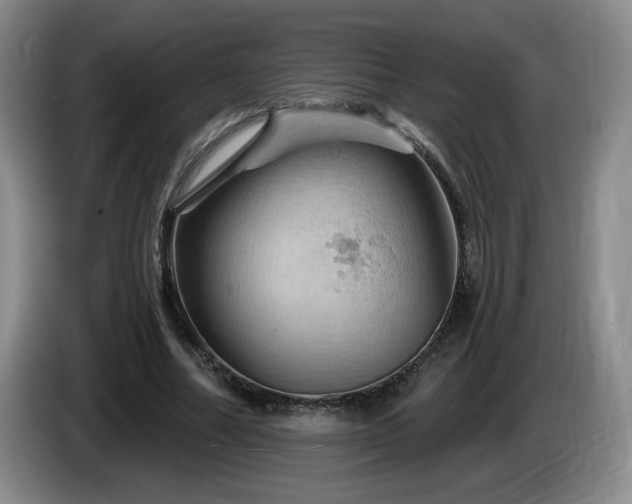 X0000085300682200703091432