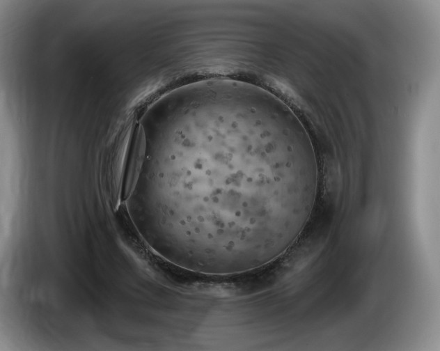 X0000085300683200703091432