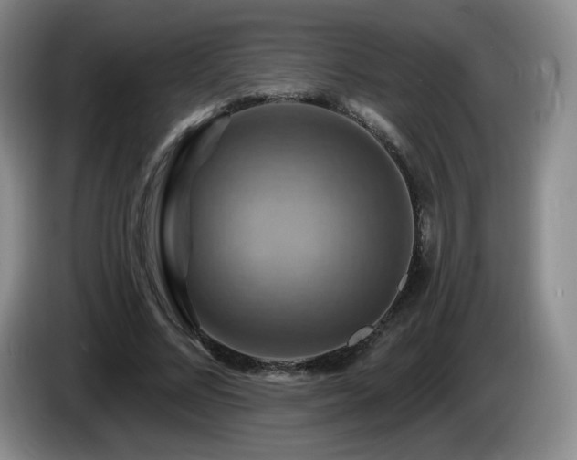 X0000085300684200703091432