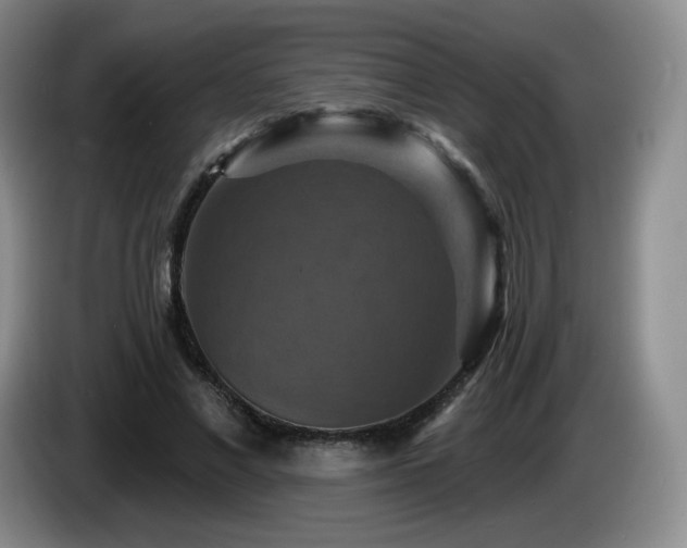 X0000085300685200703091432