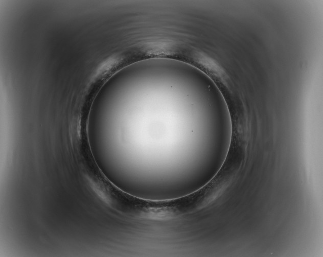 X0000085300686200703091432