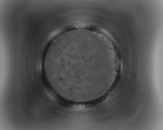 X0000085300687200703091432