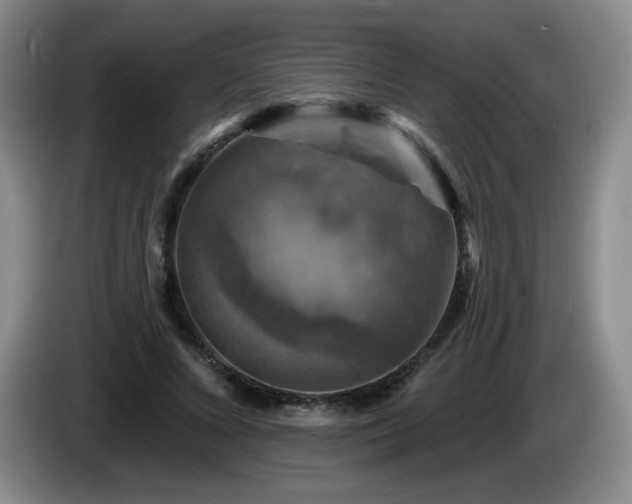 X0000085300688200703091432