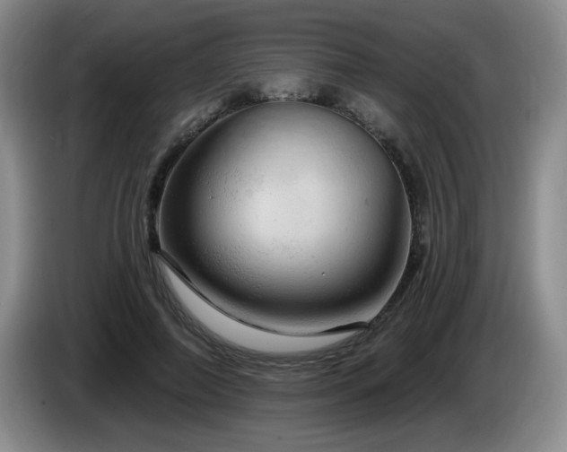 X0000085300690200703091432