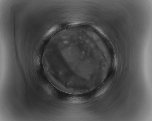 X0000085300691200703091432