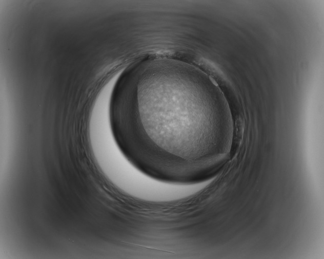 X0000085300692200703091432