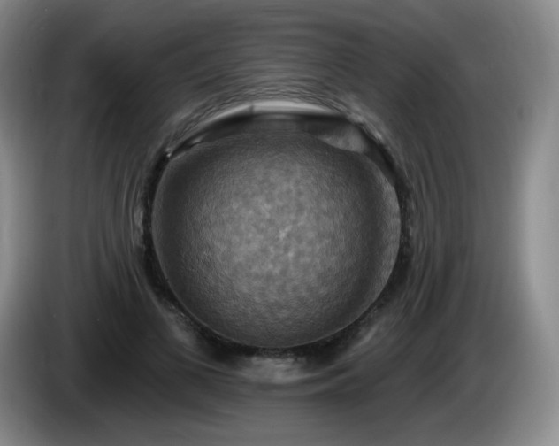 X0000085300693200703091432