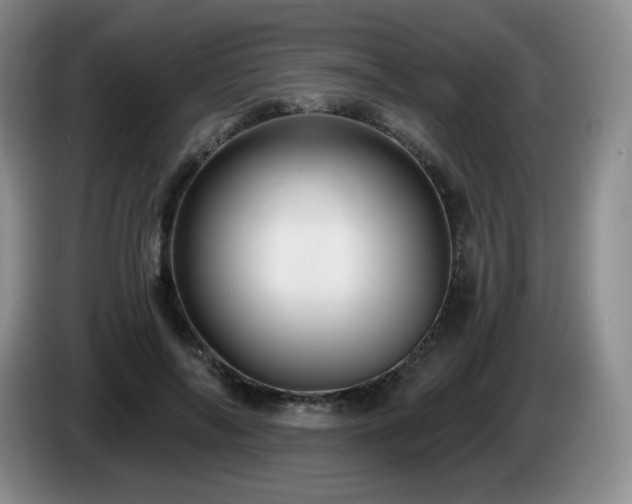 X0000085300694200703091432