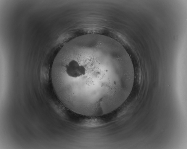 X0000085300695200703091432