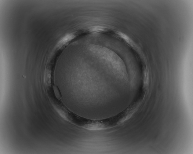 X0000085300696200703091432