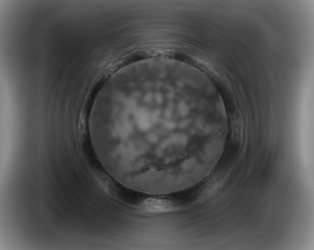 X0000085300699200703091432