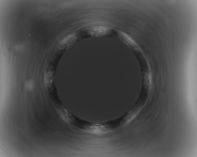 X0000085300701200703091432