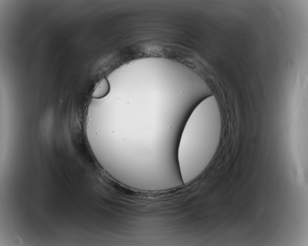 X0000085300702200703091432