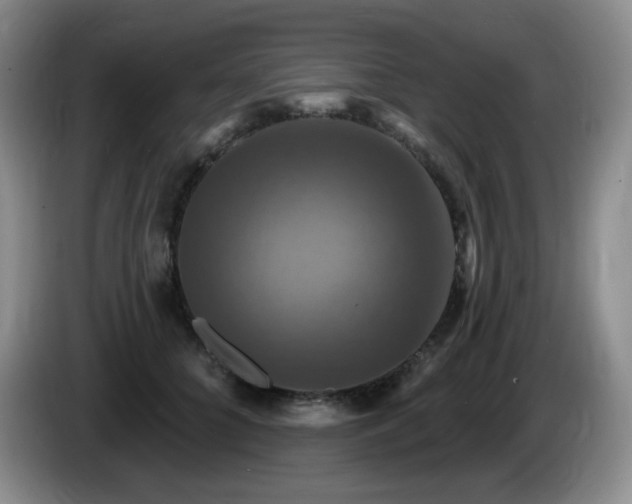 X0000085300704200703091432