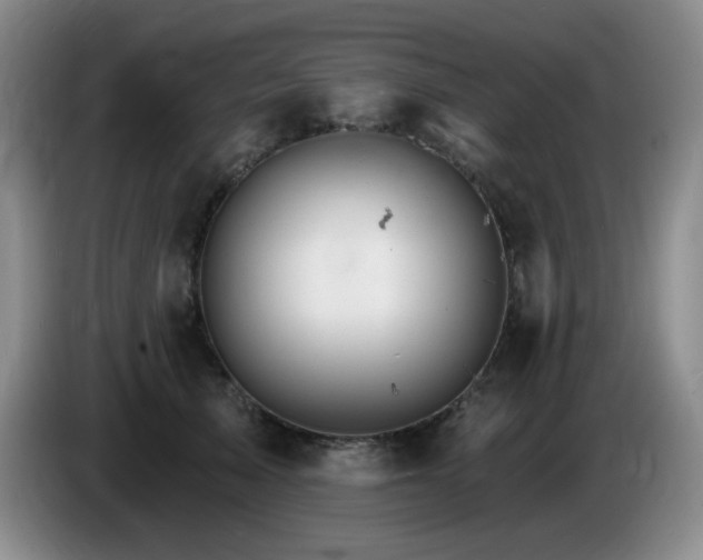 X0000085300705200703091432