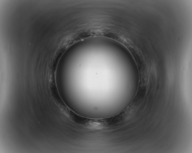 X0000085300706200703091432