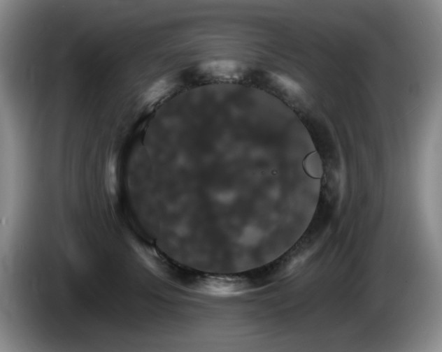 X0000085300707200703091432