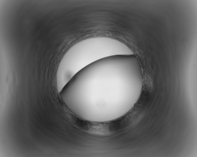 X0000085300709200703091432