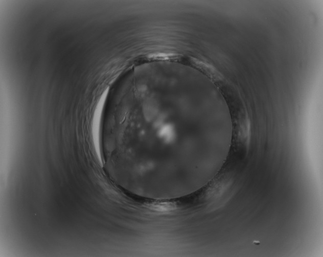 X0000085300711200703091432