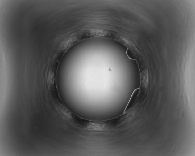 X0000085300713200703091432