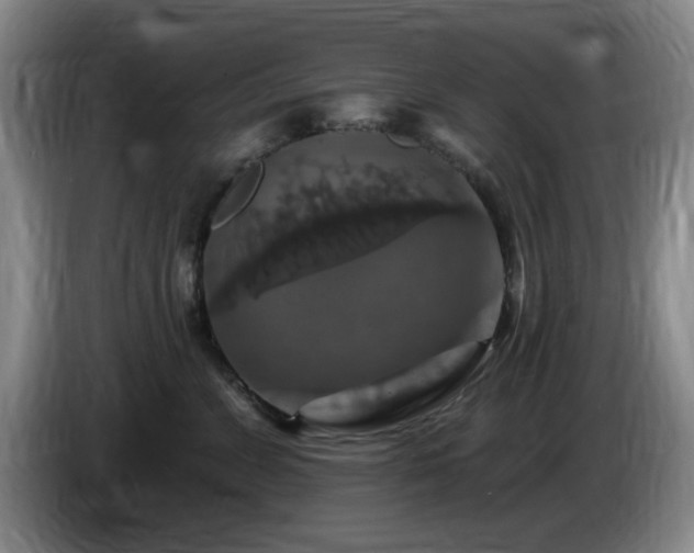 X0000085300715200703091432