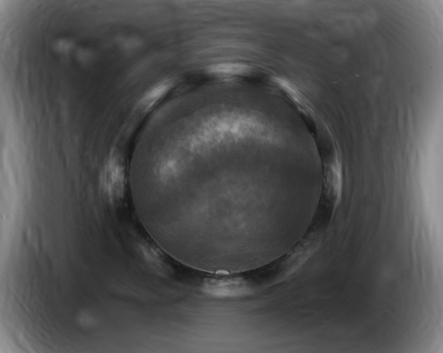 X0000085300716200703091432