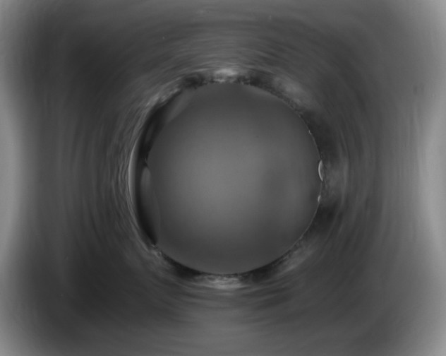 X0000085300719200703091432