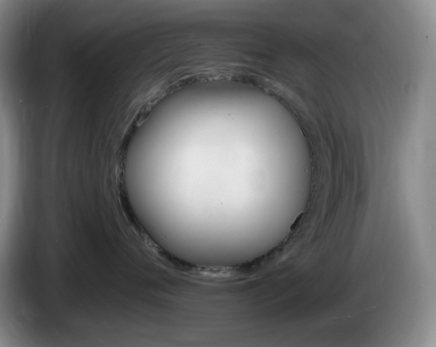 X0000085300720200703091432