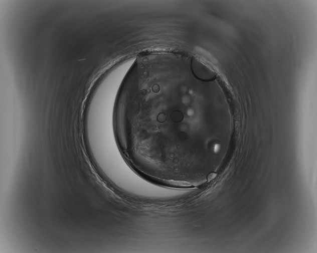 X0000085300721200703091431