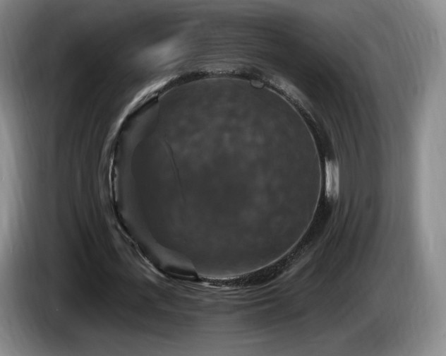 X0000085300723200703091431