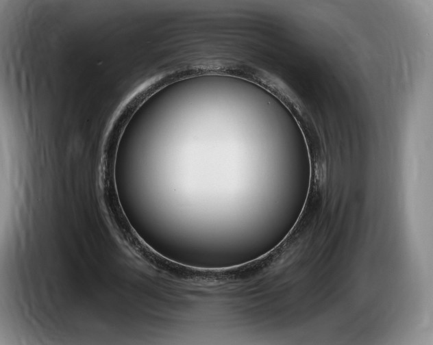 X0000085300724200703091431