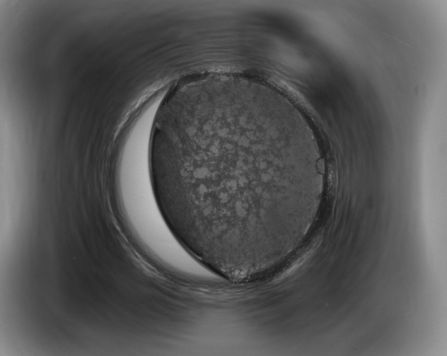 X0000085300725200703091431