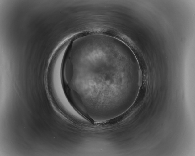 X0000085300726200703091431