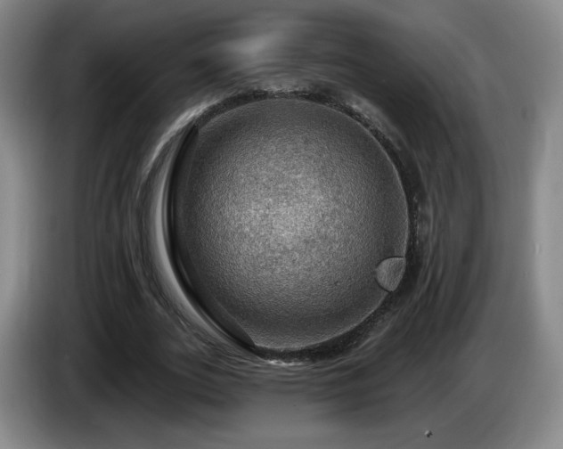 X0000085300727200703091431