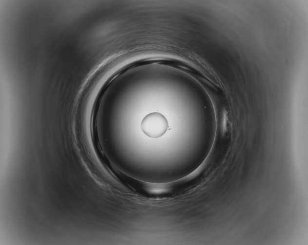 X0000085300728200703091431