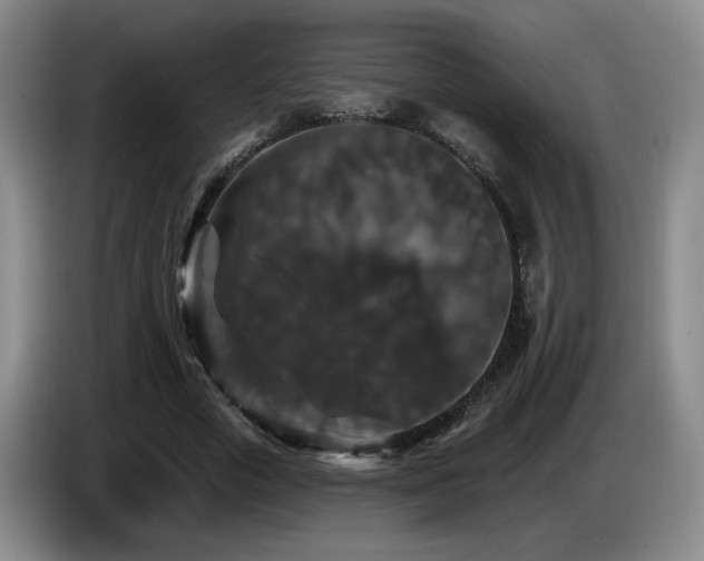 X0000085300729200703091431