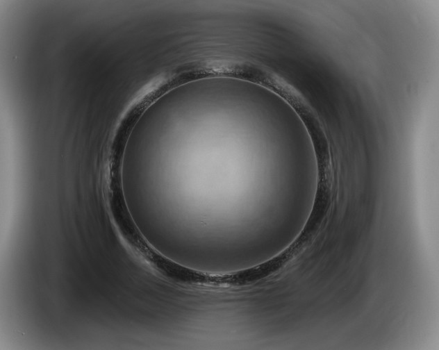 X0000085300730200703091431