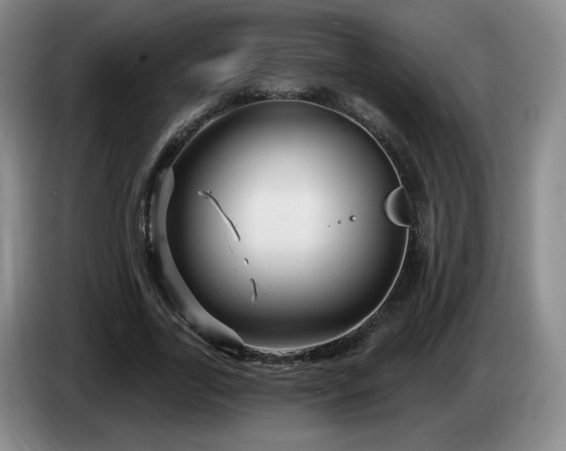 X0000085300731200703091431