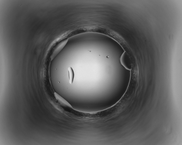 X0000085300732200703091431