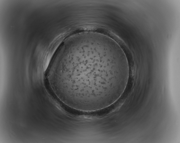 X0000085300733200703091431