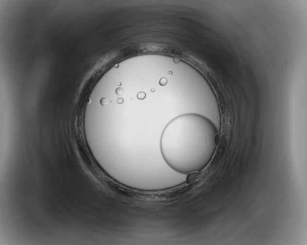 X0000085300734200703091431