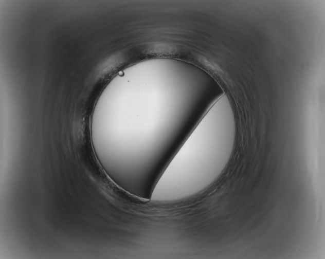 X0000085300735200703091431