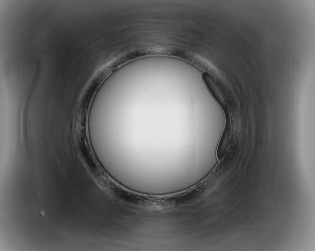 X0000085300736200703091431