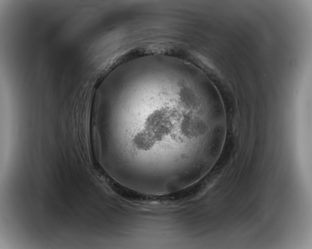 X0000085300737200703091431