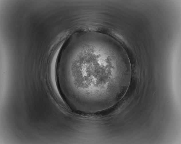 X0000085300738200703091431